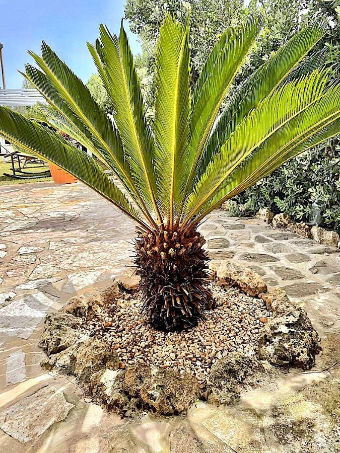 Lorelai Beach Marsala Exterior photo